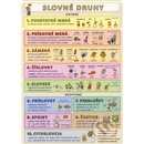 Slovné druhy