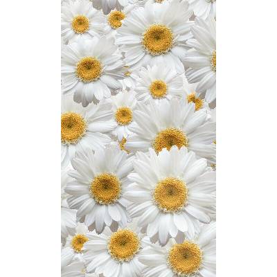 Foto závěs Blackout Flowers 140x245cm FCP L 6524