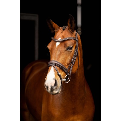 LEMIEUX Uzdečka Arika Dressage Anatomic s anglickým nánosníkem hnědá – Zbozi.Blesk.cz