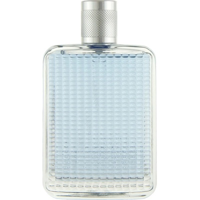 David Beckham The Essence toaletní voda pánská 75 ml tester