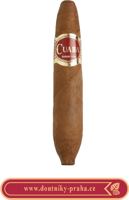 Cuaba Divinos