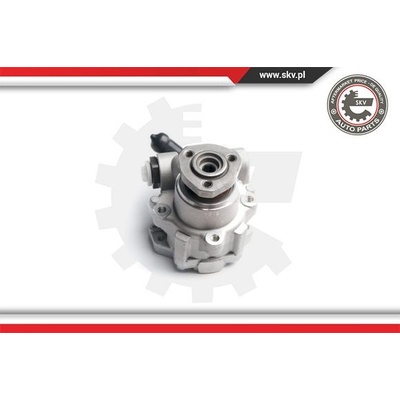 Hydraulické čerpadlo pre riadenie ESEN SKV 10SKV173