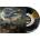 Soreption - Jord LP