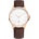 Tayroc TXM105
