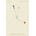 The Hours / Mrs. Dalloway Cunningham Michael
