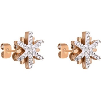 Daniel Klein Дамски обеци Daniel Klein DKJ. 3.5025-3 (DKJ.3.5025-3)