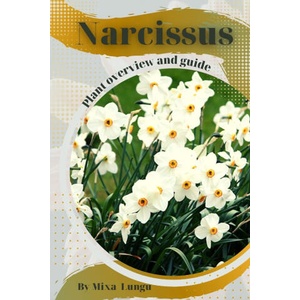 Narcissus | Mixa Lungu (2023)
