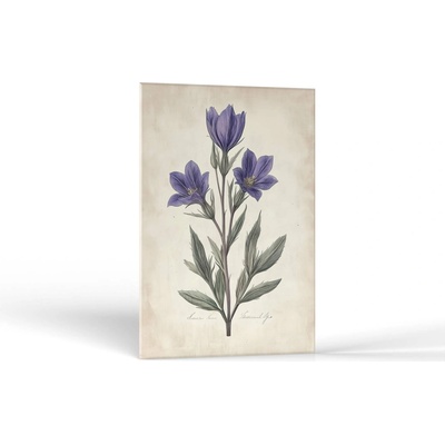 Kvety Botanická krása | Obrazy Vintessia Rozmery obdĺžnik: 30x45