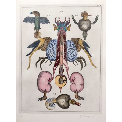 Jan Švankmajer, Z cyklu Přírodopis Tabulka č. 2