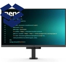 BenQ RD320UA