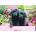 EUROGRAPHICS - Puzzle Black Labs in Pink Box XL - 500 piese