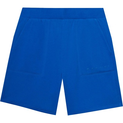 4F Спортен панталон синьо, размер xxl