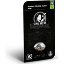 Sensi Seeds Purple Cookie Kush Research semena neobsahují THC 3 ks