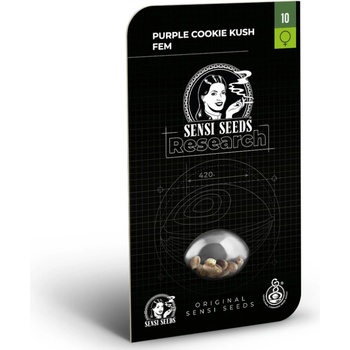 Sensi Seeds Purple Cookie Kush Research semena neobsahují THC 3 ks