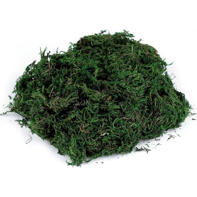 Prima-obchod Dekorační mech 50 g, barva zelená