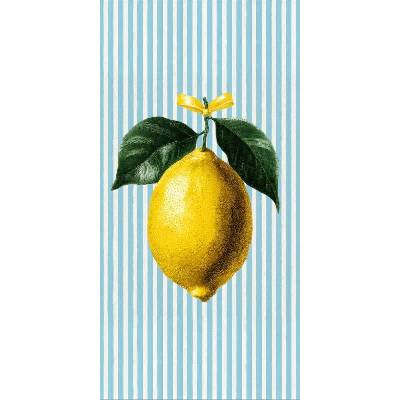 Takoy Panel na ušití rychleschnoucí osušky 80x160 citron v kuchyni 1