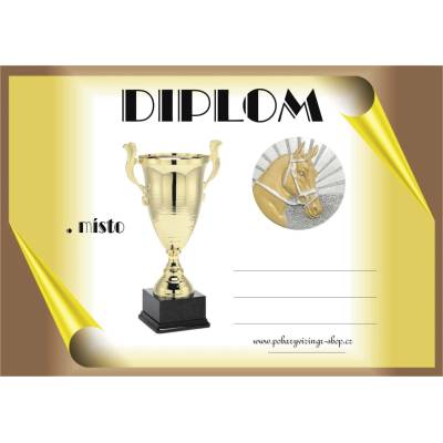 VIZINGR Koně diplom A4 č.13