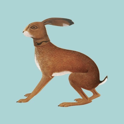 Vashti Bunyan: Lookaftering (Expanded Edition) CD 2