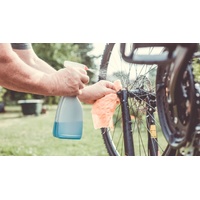 Întreținerea și curățarea bicicletei Întreținerea și curățarea bicicletei
