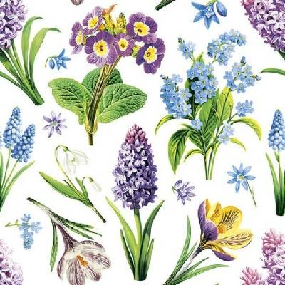 Pol-Mak Ubrousky 33x33 cm DAISY 20 ks 663615