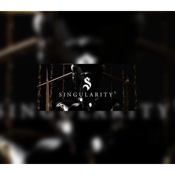 Singularity 5