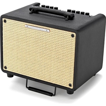 Ibanez T 30