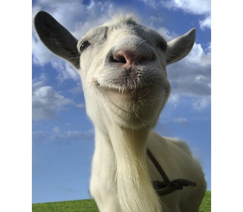 Goat Simulator