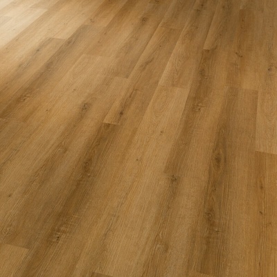 Karndean Conceptline Acoustic Click 30122 4V Dub zlatý 2,15 m²