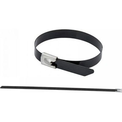 DEDRA 11NC4201 upínací pásik z nerez ocele PE, 4,6x200mm