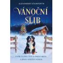 Vánoční slib