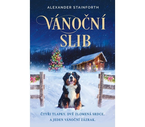 Vánoční slib