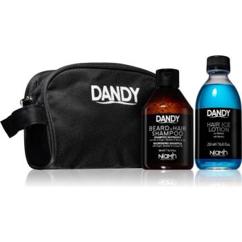Dandy Gift Sets šampon na vlasy a vousy pro všechny typy vlasů 300 ml + osvěžující tonikum 250 ml dárková sada