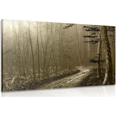 Obraz sépiová cestička do lesa - 120x80