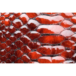 DIMEX ART Флизелинов фототапет червена змийска кожа 375 x 250 см