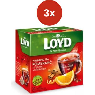 Loyd Warming Tea pyramída pomaranč škorica klinček 3 x 40 g