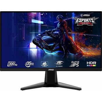 MSI MAG 255XF