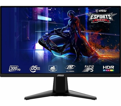 MSI MAG 255XF