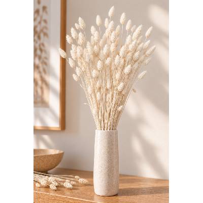 Sušený phalaris kytice/svazek bělený 50g