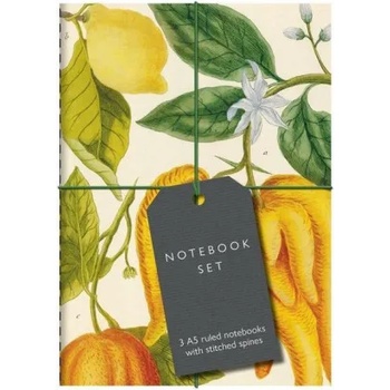 Bodleian Library Botanical Art Notebook Set | . Bodleian Librar