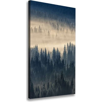Vertikálny foto obraz na plátne Hmla nad lesom 50x100 cm