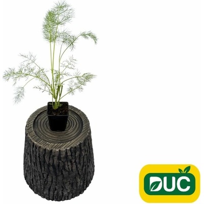 Fenikel obyčajný Green Pincher - Foeniculum, kont. 0,5 l