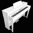 Medeli DP720