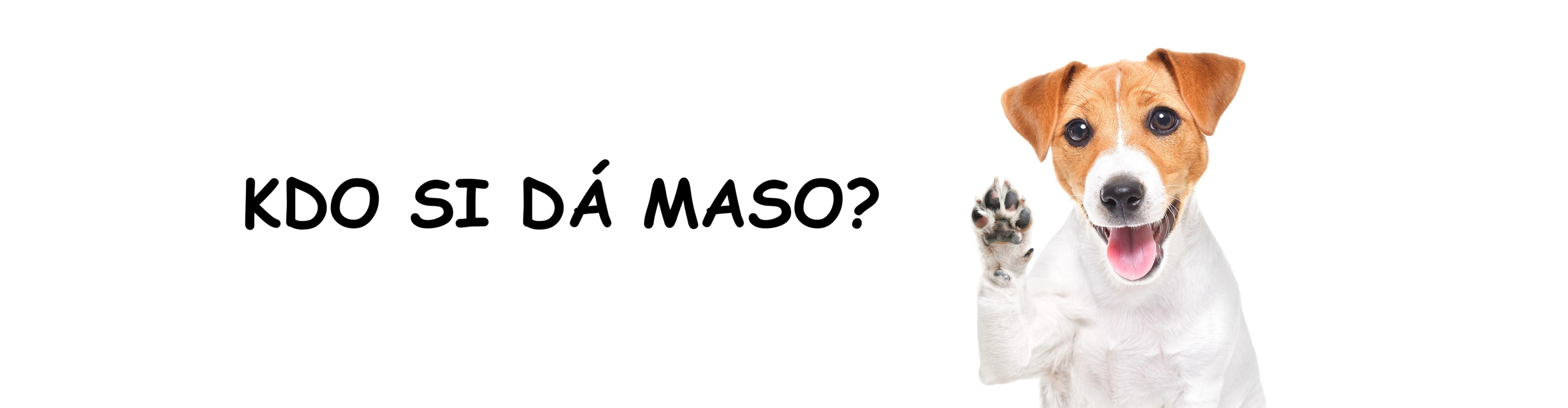 Pes hlásící se k BARFu