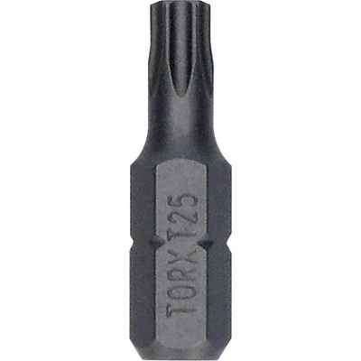 Bosch ExH T25 25 mm 25 ks 2607002800