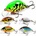 Salmo Tiny Perch Sinking 3 cm