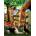 SunsOut - Puzzle Can We Be Friends - 300 piese