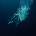 Lapsley - Through Water (Coloured) (LP) (0191404100813)