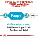 Granule pre psov Royal Canin Dachshund Puppy 1,5 kg