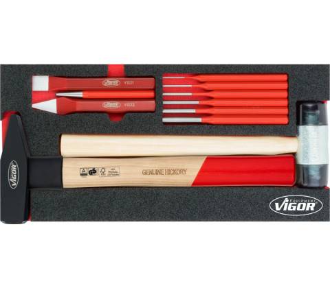 VIGOR V5006