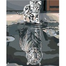 Zuty Maľovanie podľa čísel MAČIČKA ALEBO TIGER